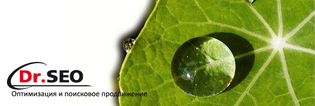 DrSEO - оптимизация и поисковое продвижение